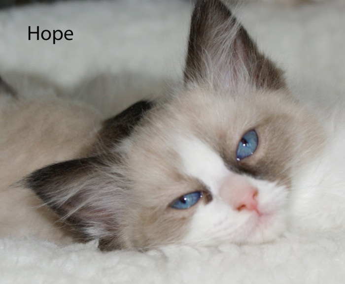 hope-