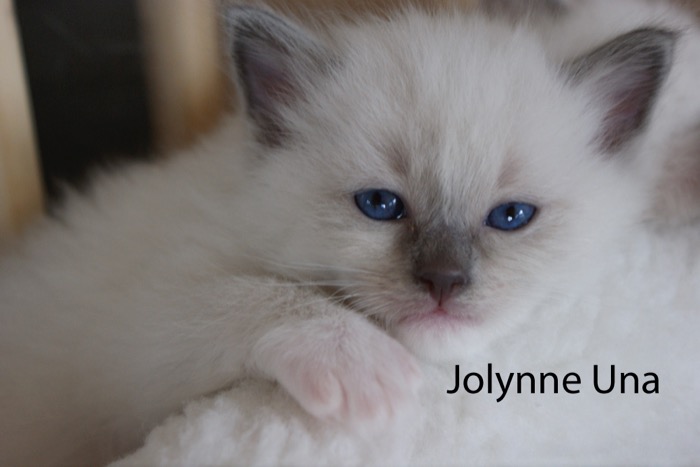 jolynne-una