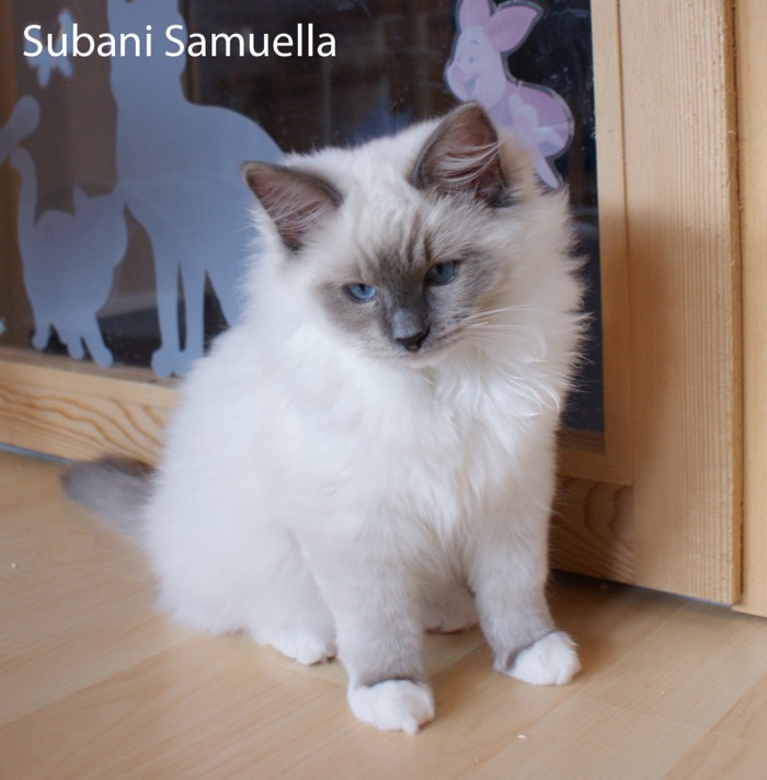 subani-samuella